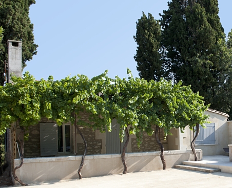 location saisonniere saint remy de provence